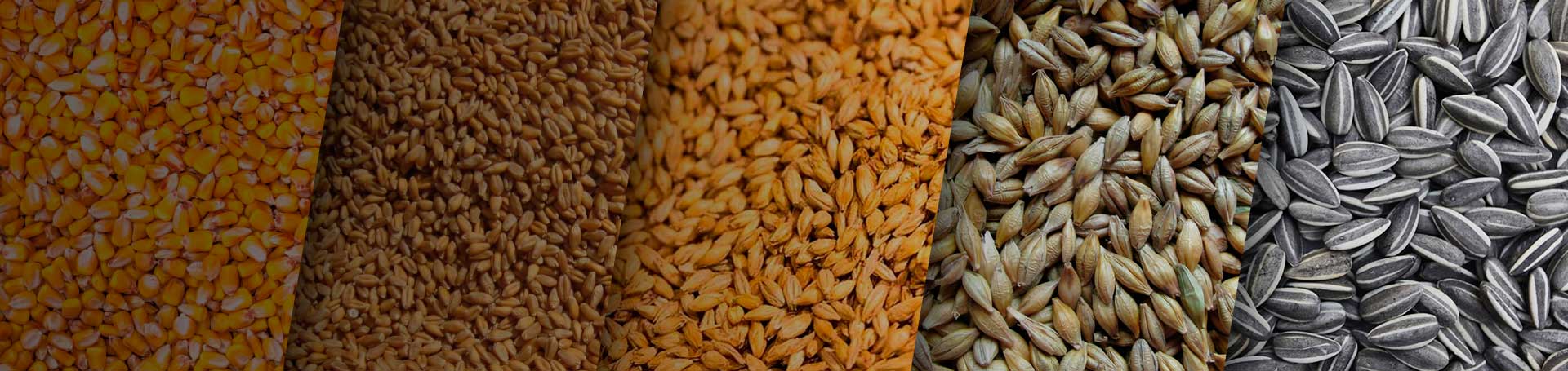 Conozca nuestros productos de inoculación - Agrimarketing